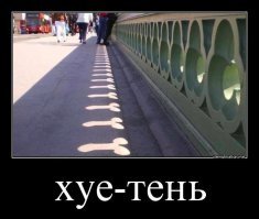 Прикольные и смешные картинки