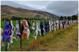 Насколько я знаю-это не идея для забора. Это спонтанный "забор желаний" или что-то в этом роде, может забор любви/счастья/беременности. Не помню. Хотите-погуглите. Смысл в том, что женщины сами оставляют там бюстгалтеры. Кажется США,