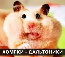 В основном пурга.

К примеру. Большинство млекопитающих в принципе не различают красный цвет. 

По моему, только у приматов в глазу 3 вида цветовых рецепторов