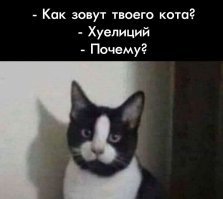 а как же <span style='color:gray'>[мат]</span> ))