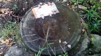 Тут вообще все странно)) Сегодня после как искупался в бухте, по дороге встретил это  Кто то кошек подкармливает, а кто-то ,около дома,улиток макаронами спагетти  Извиняюсь за качество, фоткал на древний тапок!