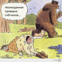 Любопытный медвежонок  разбудил отдыхающих на пляже мужчин