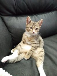 присоединяюсь...