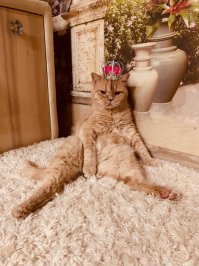 Ага, у нас тоже это любимая поза :)