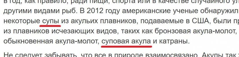 Эх, попробовать бы суп из суповой акулы!