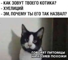 Намешалось