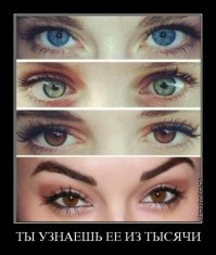 15 доказательств, что женская логика непоколебима и беспощадна