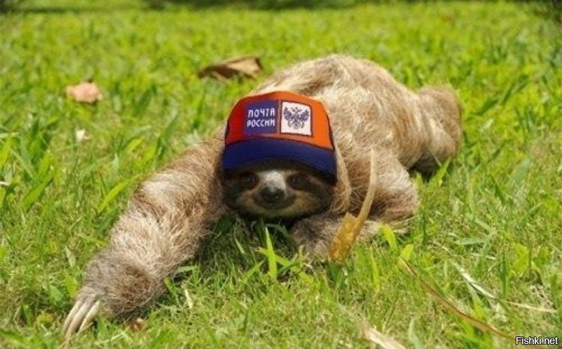 Не сдержался))