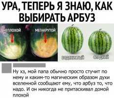 Прикольные и смешные картинки