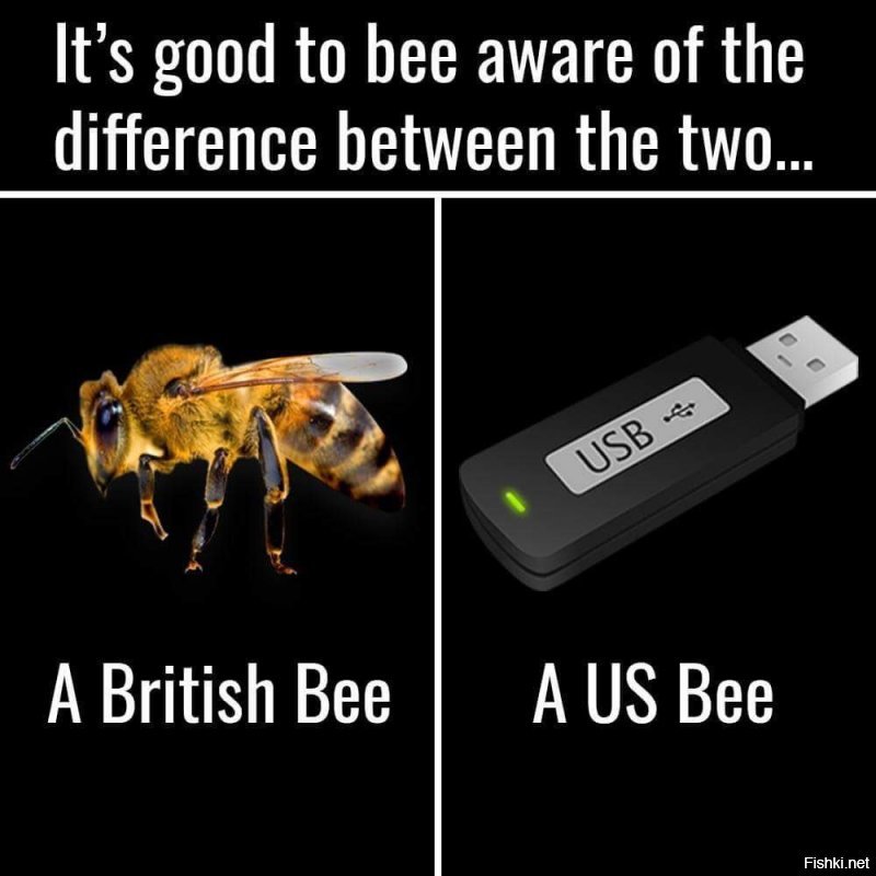 Автор пропустил суть шутки - шутка в каламбуре о пчелах. Там серия твитов была с такими каламбурами, и про королеву - это один из них. Лично мне больше эта шутка нравится: