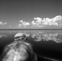 Снежный человек