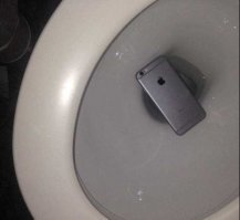 В тему про унитазы.