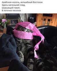 «Волшебная лампа Аладдина»: неожиданные последствия для страны и главной героини