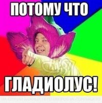 Почему кричат «Бинго»?