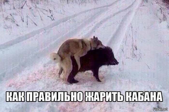 патроны кончились