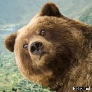 83-летняя россиянка сутки кричала и рычала из трясины на медведя