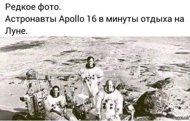 Жизнь, пойманная врасплох