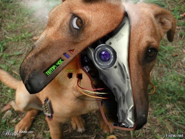 NeFормат