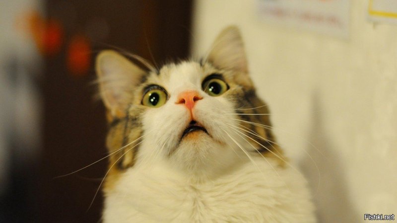 Квентин Тарантино прибыл в Москву на премьеру своего фильма. Но фотки самого режиссёра — уже кино