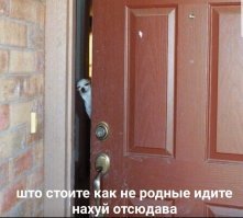 Прикольные и смешные картинки