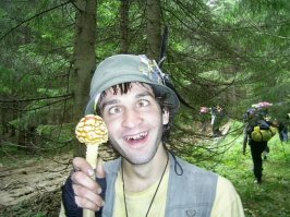 забавные у автора грибочки. не ешь их много. передоз будет