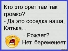 Прикольные и смешные картинки