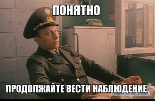 2018 "В Израиле родился предвестник конца света - красный телёнок" 
2019 "Лисы у стены плача"