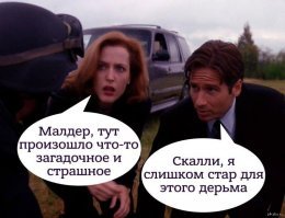 Прикольные и смешные картинки