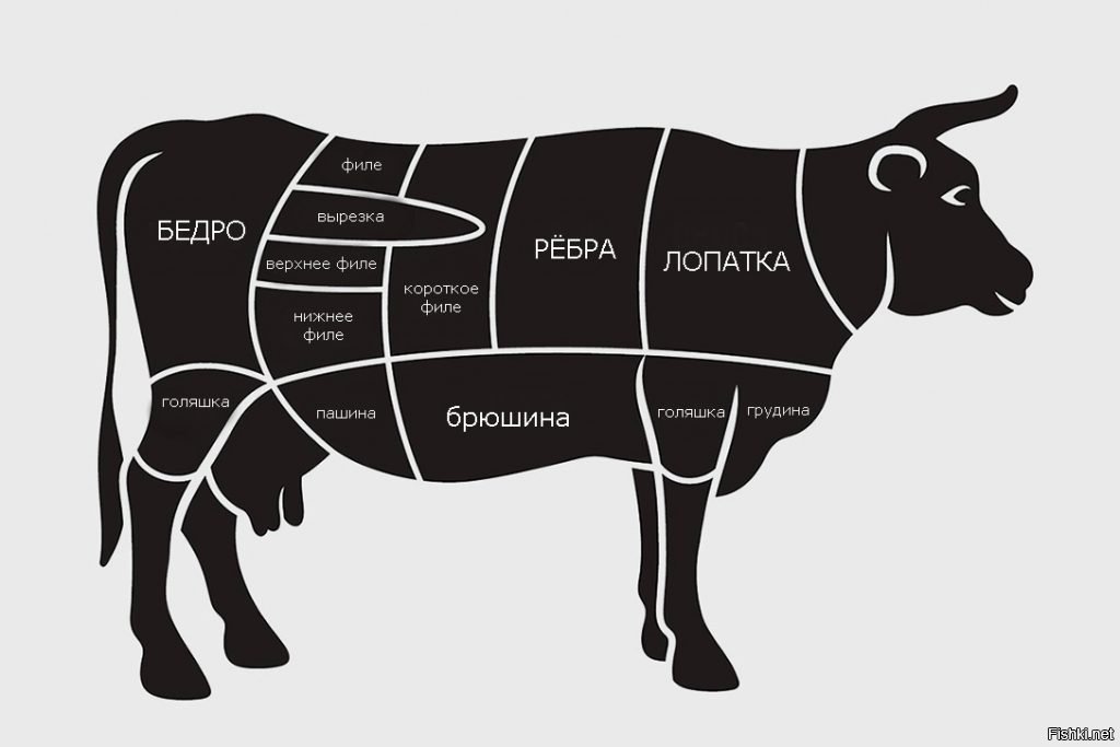 Из одной картинки сделать много