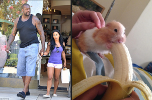 20 человек, которые смогли впихнуть невпихуемое