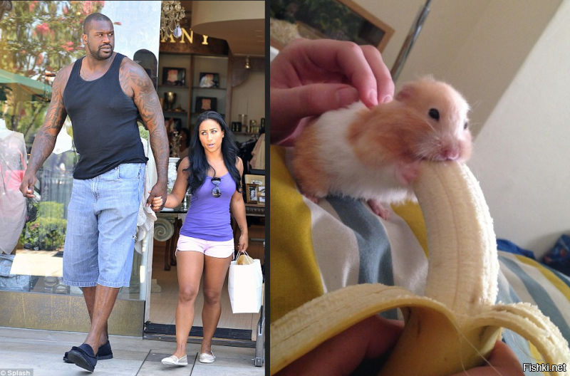 20 человек, которые смогли впихнуть невпихуемое