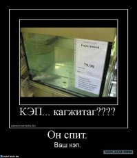 Видели это? Капитан Очевидность вновь был где-то рядом