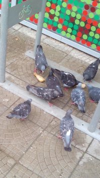 Задорно трескают куриные ножки)))