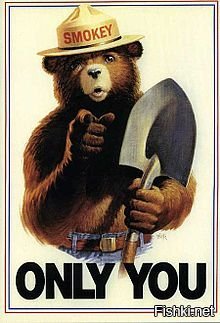 Переводчика на виселицу:

"Медведь Смоки (англ. Smokey Bear или, неофициально, англ. Smokey the Bear)   талисман службы леса США (англ. United States Forest Service), созданный для того, чтобы просветить общество об опасности лесных пожаров.

Девиз Медведя Смоки   «Только ты можешь предотвратить лесные пожары», " ну и т.д.
