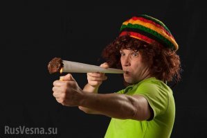 Кого, говоришь, Канада там ограбила? 
Кто там на нас работает? И куда, плять, задевался мой личный раб???