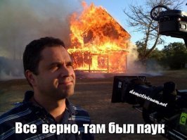 Гигантский паук поймал в свои сети летучую мышь