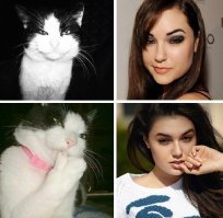 Предпочитаю котов...
