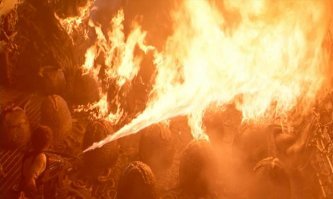 Медицина бессильна.... Только напалм!