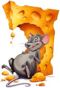 Почему в сыре образуются дырки?