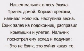 Ёжик летит?