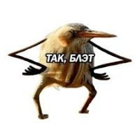 Картинки с надписями