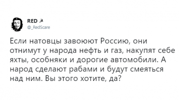 "Ты на её защиту встанешь": в России выпустят детскую конституцию с картинками и стихами