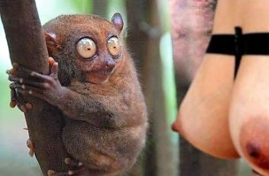 Они надеялись, что никто не заметит: 15 деятелей, которые спалились на всякой фигне