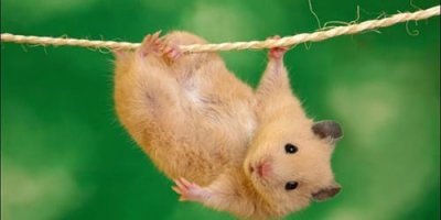 Пятничная рассказявка №345