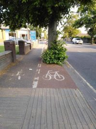 Из опыта других городов.

.