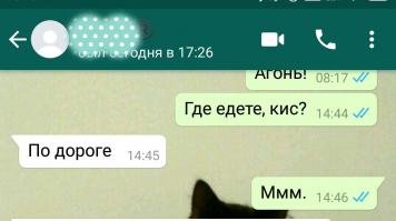Только сегодня с кэпом общалась: