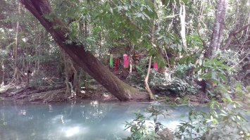Вот деревья с духами у тайцев. Тоже сам фотографировал. Просто похоже, я и предположил. Но не так жутко, конечно. Извиняюсь за положение фото, не знаю как повернуть