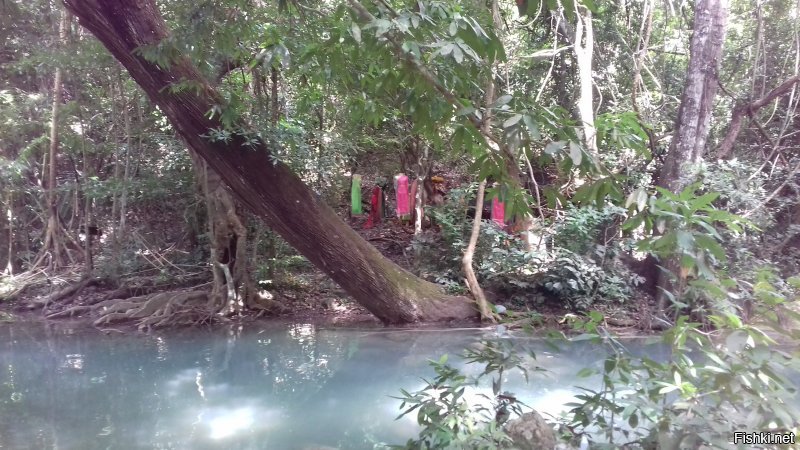 Вот деревья с духами у тайцев. Тоже сам фотографировал. Просто похоже, я и предположил. Но не так жутко, конечно. Извиняюсь за положение фото, не знаю как повернуть