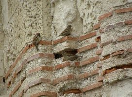 Вод греческая кладка. София киевская.

В Керчи её совсем немного осталось. Я так и написал