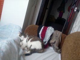 перед тем, как я лег спать в гостях, эти двое пытались меня наперегонки убить.